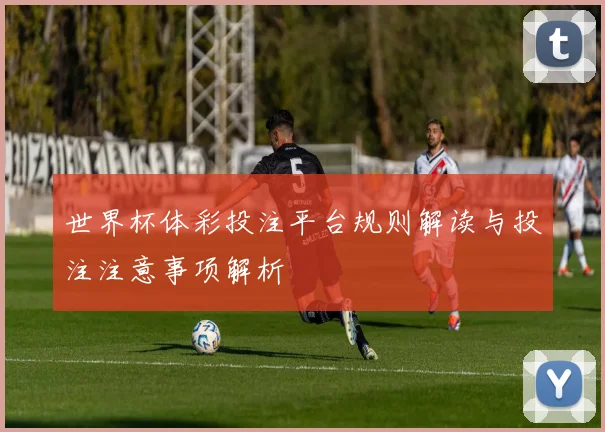 世界杯体彩投注平台规则解读与投注注意事项解析