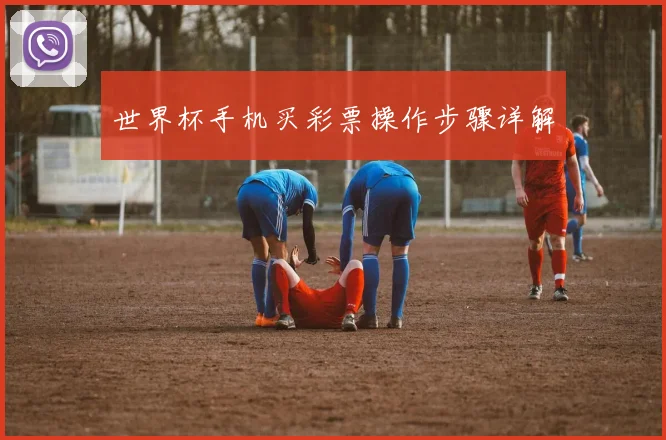 世界杯手机买彩票操作步骤详解