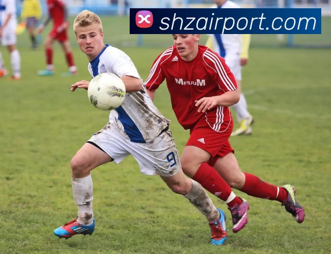 世界杯官方网络平台平台生态图